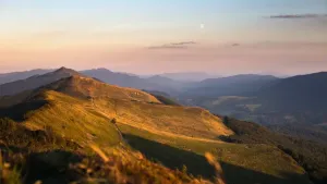 jakie ćwiczenia na klatkę piersiową na siłowni